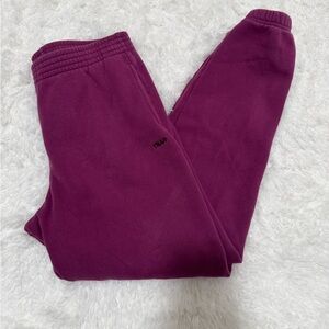 Aritzia TNA sweatpants